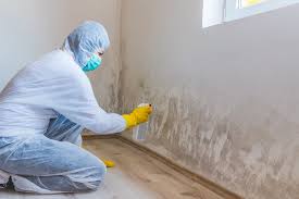 Biohazard Mold Removal in Defuniak Springs, FL