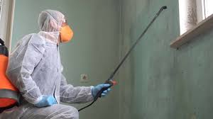 Best Forensic Mold Investigation  in Defuniak Springs, FL