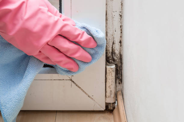 Best Residential Mold Inspection & Testing  in Defuniak Springs, FL